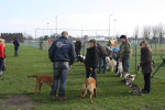 puppyles 4 maart 2012