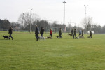 puppyles 4 maart 2012