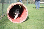 Lex in actie 4 maart 2012