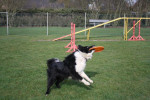 Lex in actie 4 maart 2012